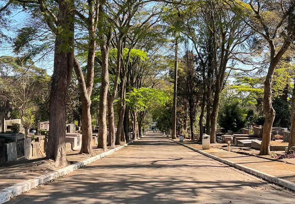 cemiterio-campo-grande-1